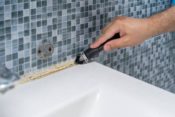 Best Health and Safety Mold Remediation in Terryville, NY